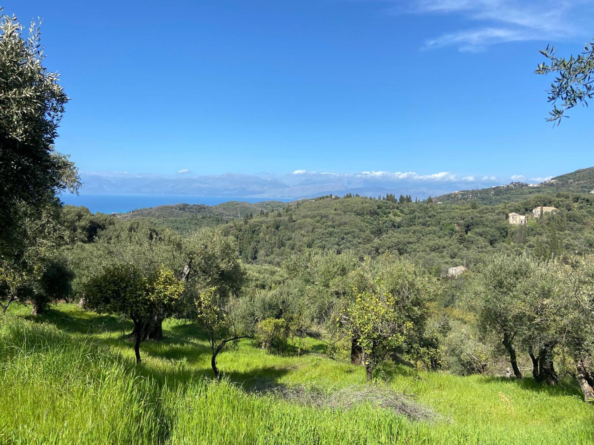 Lulani Hideaway Holiday home Agios Panteleimon (Corfu)